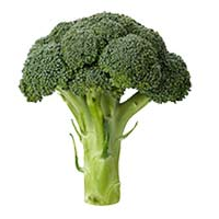 Broccoli