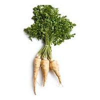 Parsnips