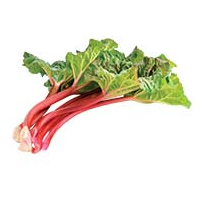 Rhubarb