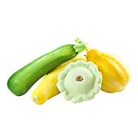 Summer Squash