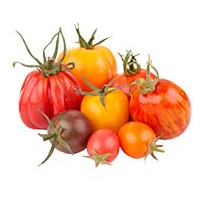 Tomatoes